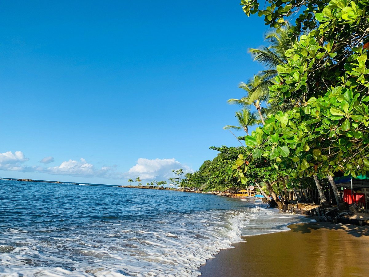 ILHÉUS / ITACARÉ foto 3